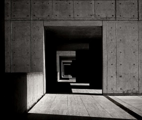 salk_01 salk_01