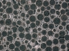02_liapor