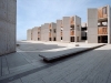 salk_02